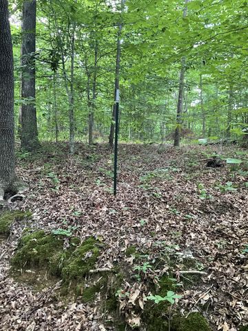 0 Fergus Ln, Tullahoma, TN 37388