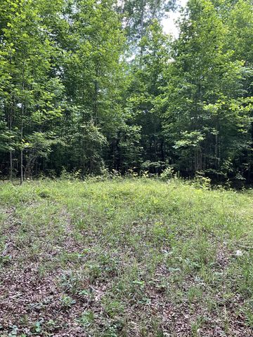 0 Fergus Ln, Tullahoma, TN 37388