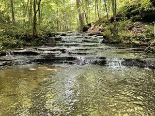 0 Fergus Ln, Tullahoma, TN 37388