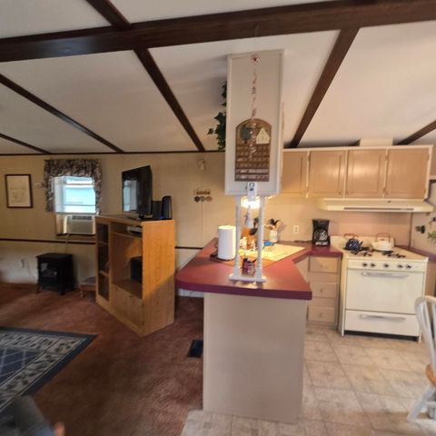 1898 N White Birch Drive, Golden Twp, MI 49436