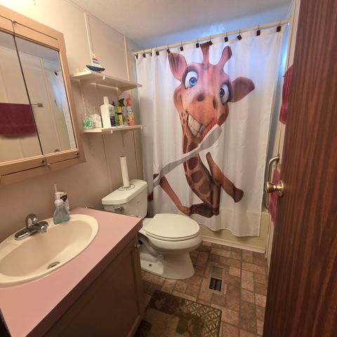 1898 N White Birch Drive, Golden Twp, MI 49436