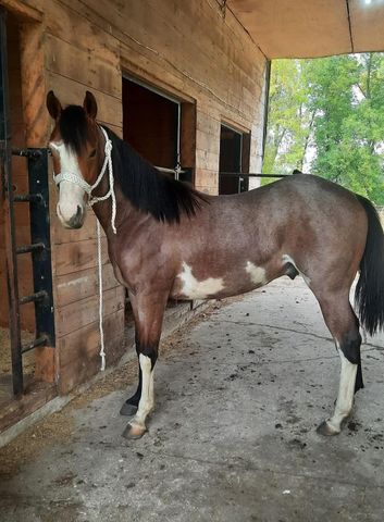 63501 300th Street, Chokio, MN 56221