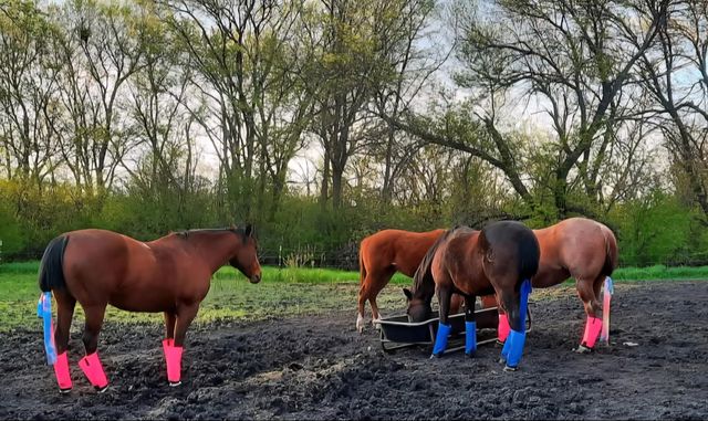 63501 300th Street, Chokio, MN 56221