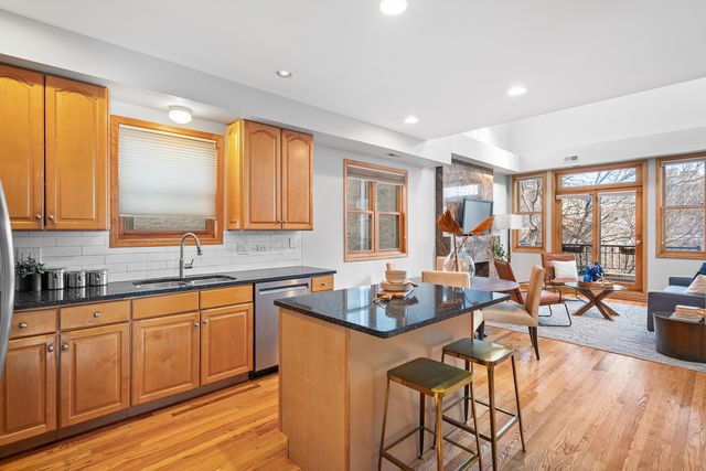 1056 N Marshfield Avenue 3, Chicago, IL 60622