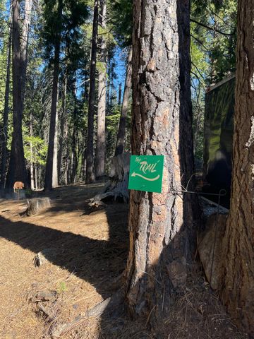 1641 Meadowview Rd, Arnold, CA 95223