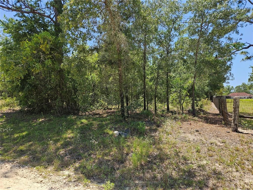 TBD SE 25TH STREET, Morriston, FL 32668