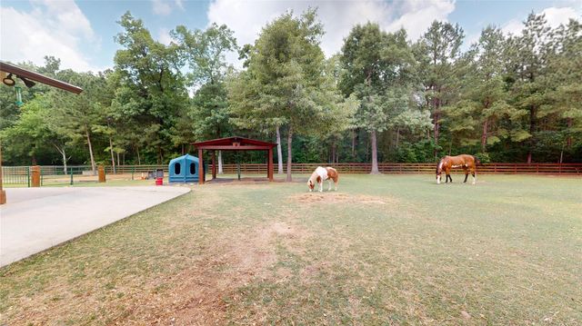 26166 Crown Ranch Blvd, Montgomery, TX 77316