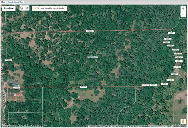 1378 N National City Road, Grant Township, MI 48748