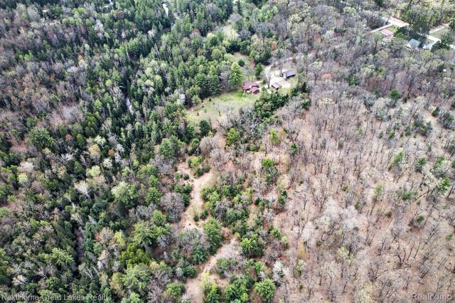 1378 N National City Road, Grant Township, MI 48748