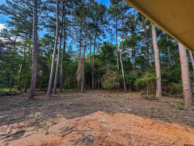 540 Chelsea Lane, Bullard, TX 75757