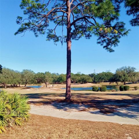 14 CARNATION COURT, Homosassa, FL 34446