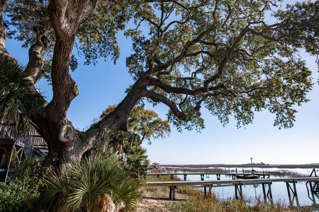 1599 Terns Nest Road, Charleston, SC 29412