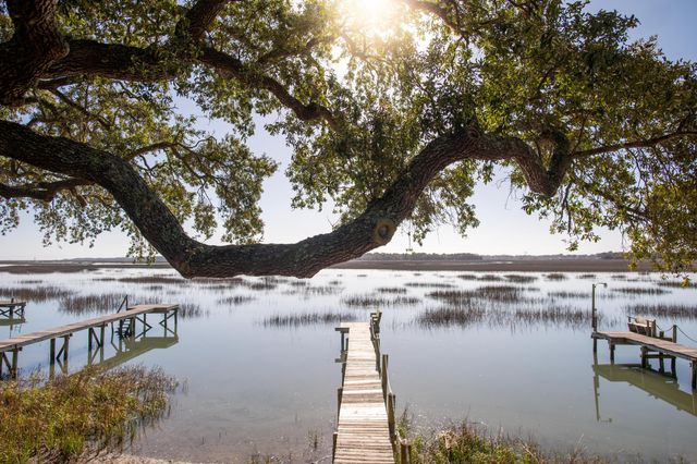 1599 Terns Nest Road, Charleston, SC 29412