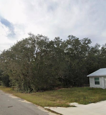 TBD FISHER WAY CRSE, Ocklawaha, FL 32179