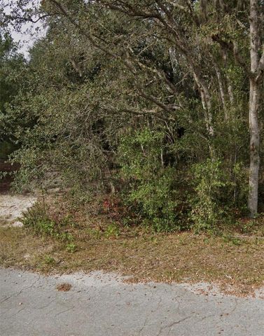 TBD FISHER WAY CRSE, Ocklawaha, FL 32179