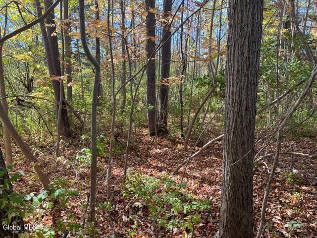 L27 Duanesburg Road, Duanesburg, NY 12053