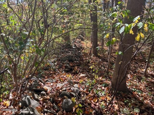 L27 Duanesburg Road, Duanesburg, NY 12053