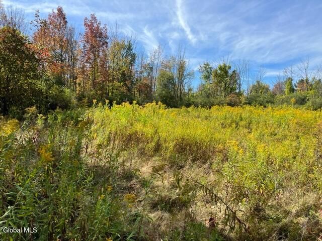 L27 Duanesburg Road, Duanesburg, NY 12053