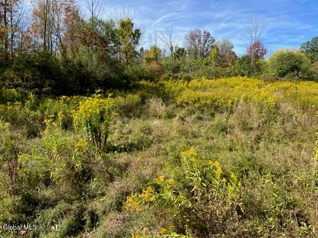 L27 Duanesburg Road, Duanesburg, NY 12053