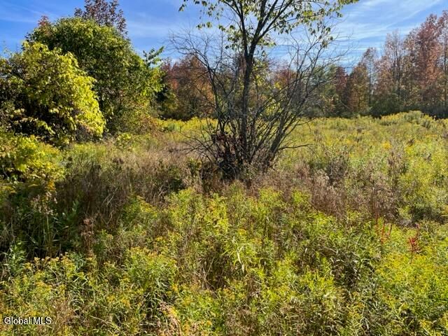 L27 Duanesburg Road, Duanesburg, NY 12053