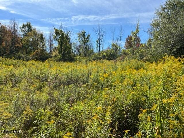 L27 Duanesburg Road, Duanesburg, NY 12053