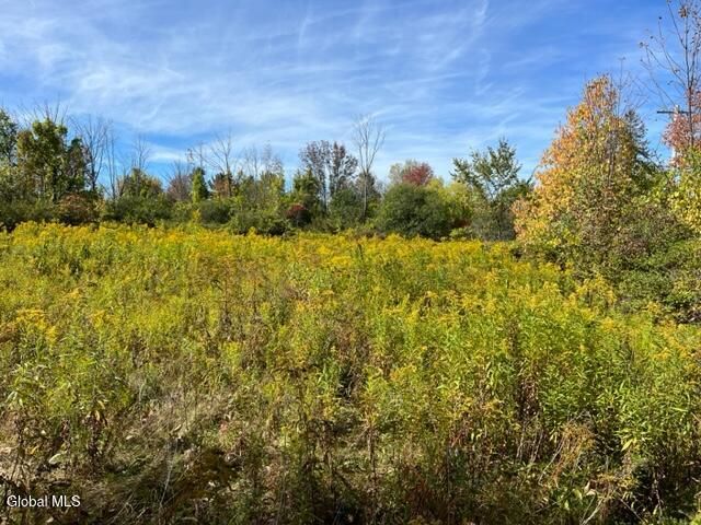 L27 Duanesburg Road, Duanesburg, NY 12053