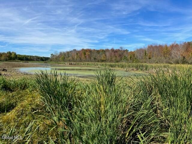 L27 Duanesburg Road, Duanesburg, NY 12053