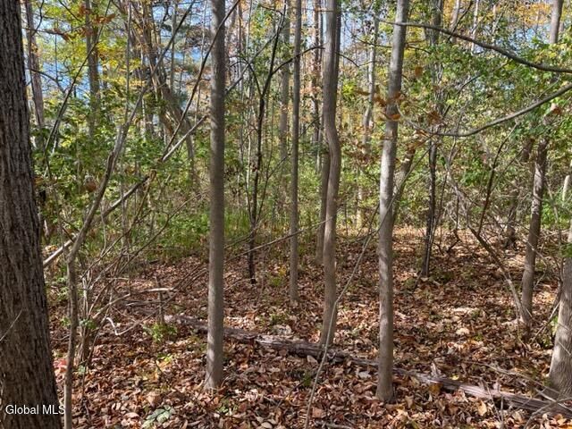 L27 Duanesburg Road, Duanesburg, NY 12053