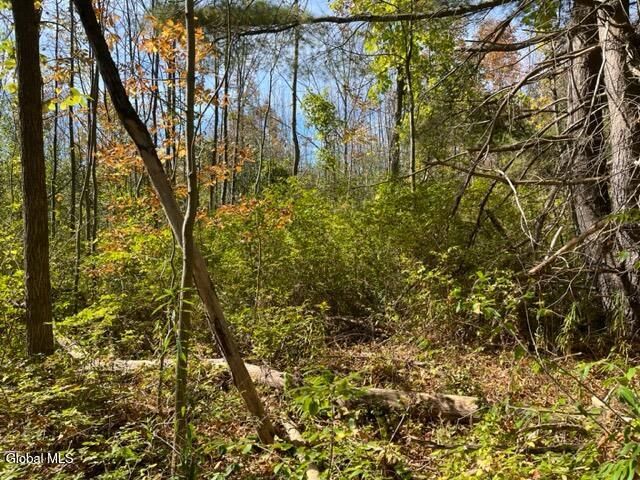 L27 Duanesburg Road, Duanesburg, NY 12053