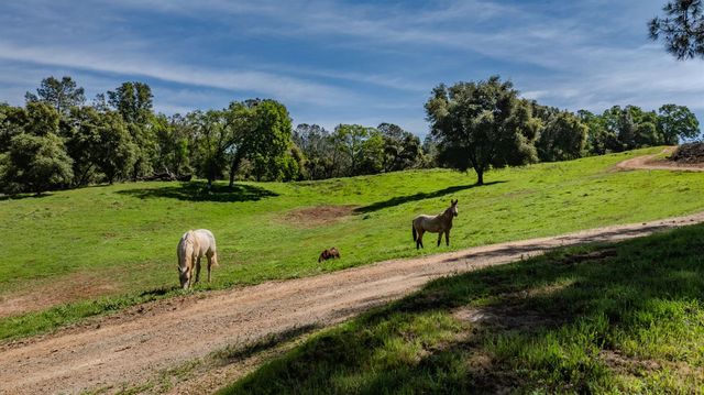 6910 Tonzi, Ione, CA 95640