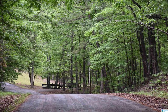 1915 COOSA COUNTY ROAD 19, Rockford, AL 35136