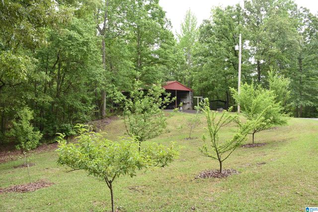 1915 COOSA COUNTY ROAD 19, Rockford, AL 35136