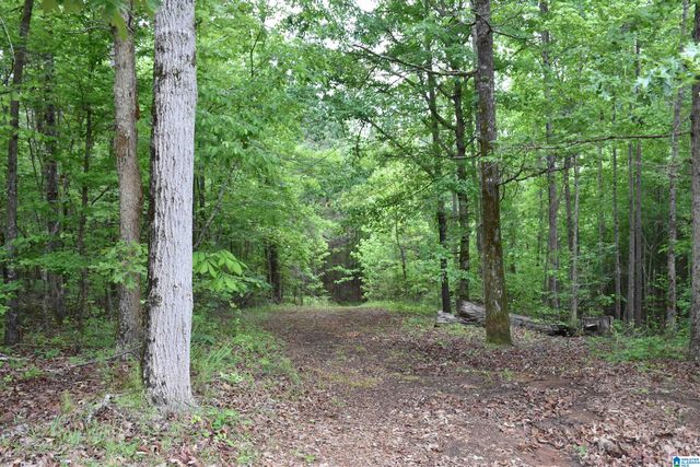 1915 COOSA COUNTY ROAD 19, Rockford, AL 35136
