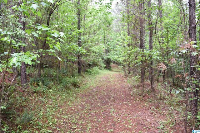 1915 COOSA COUNTY ROAD 19, Rockford, AL 35136