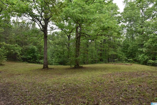 1915 COOSA COUNTY ROAD 19, Rockford, AL 35136