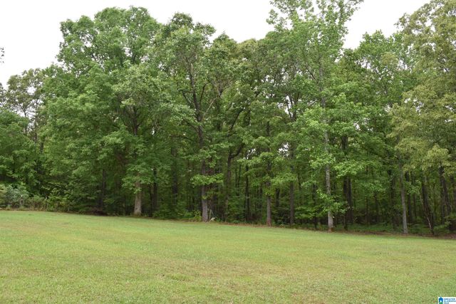 1915 COOSA COUNTY ROAD 19, Rockford, AL 35136