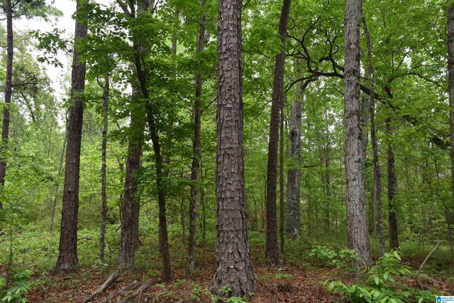 1915 COOSA COUNTY ROAD 19, Rockford, AL 35136