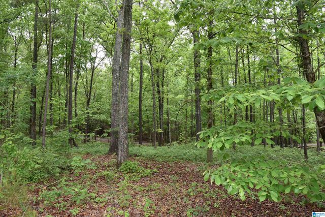 1915 COOSA COUNTY ROAD 19, Rockford, AL 35136