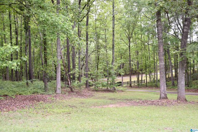 1915 COOSA COUNTY ROAD 19, Rockford, AL 35136