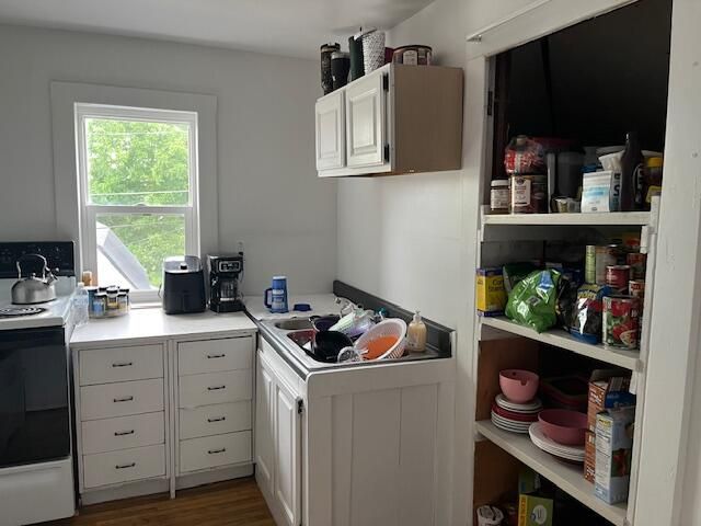 426 S Chestnut Street, Reed City, MI 49677