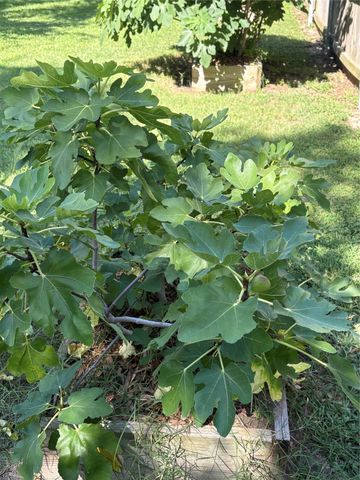 5620 Landsdown Drive, Waco, TX 76708