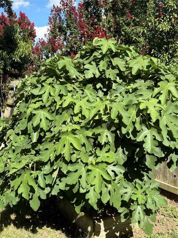 5620 Landsdown Drive, Waco, TX 76708