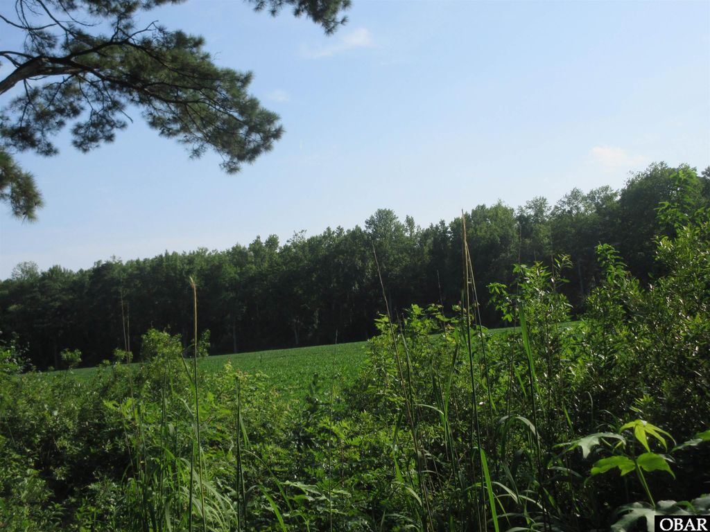 Image 11 of property listing at 182 Will Poyner Lane, Barco, NC 27917