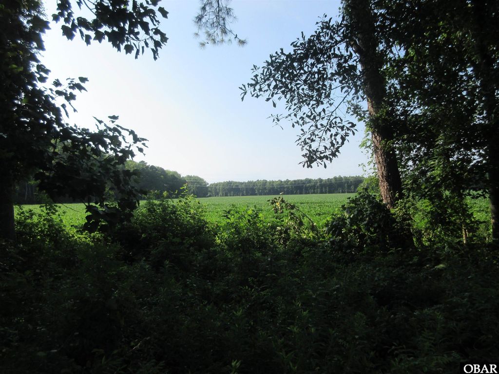 Image 13 of property listing at 182 Will Poyner Lane, Barco, NC 27917