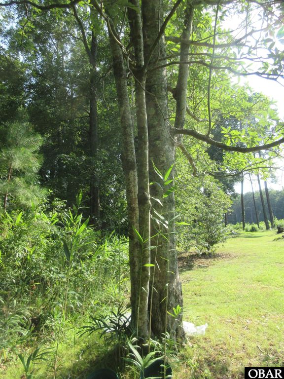 Image 19 of property listing at 182 Will Poyner Lane, Barco, NC 27917