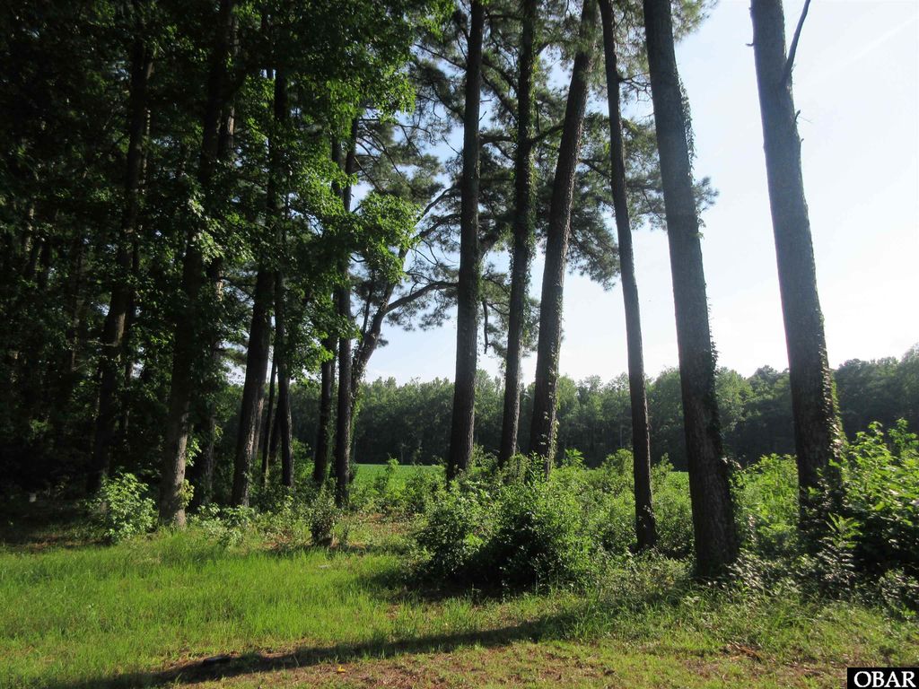 Image 20 of property listing at 182 Will Poyner Lane, Barco, NC 27917