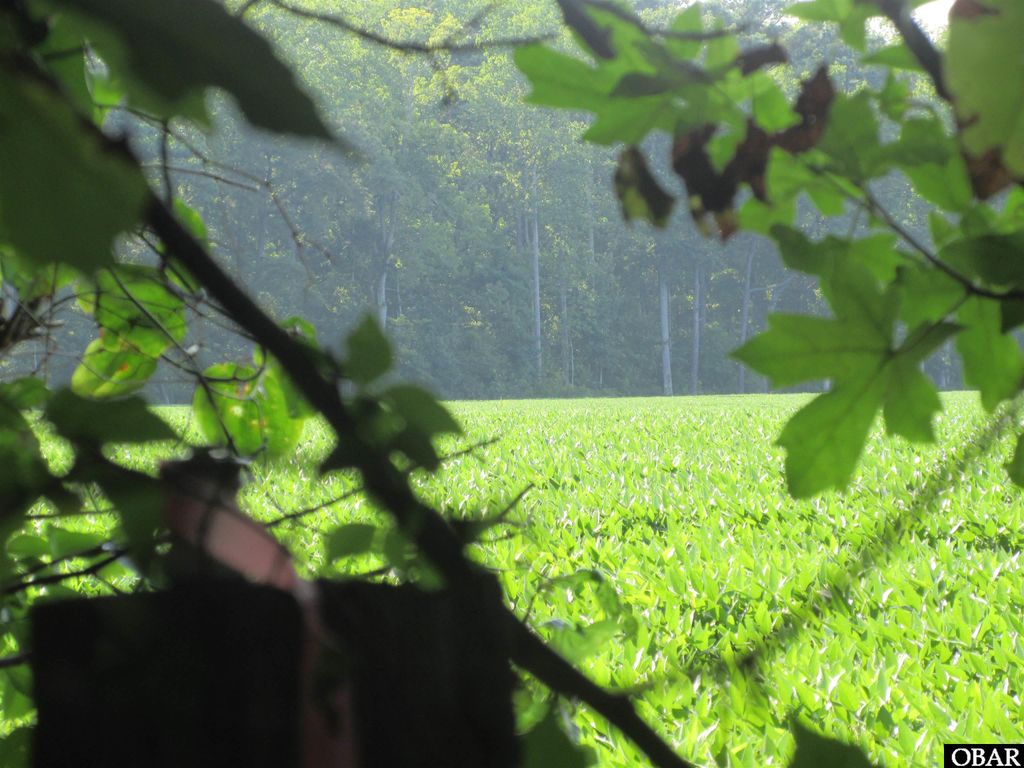 Image 10 of property listing at 182 Will Poyner Lane, Barco, NC 27917