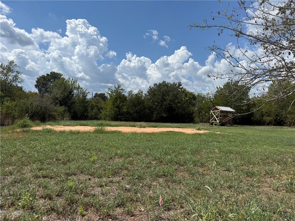 TBD King Road, North Zulch, TX 77872 — photo 4