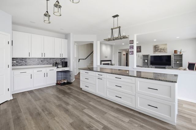 1341 S Meadow Lane, Round Lake, IL 60073