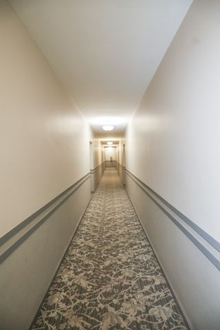 5214 S Woodlawn Avenue 302, Chicago, IL 60615